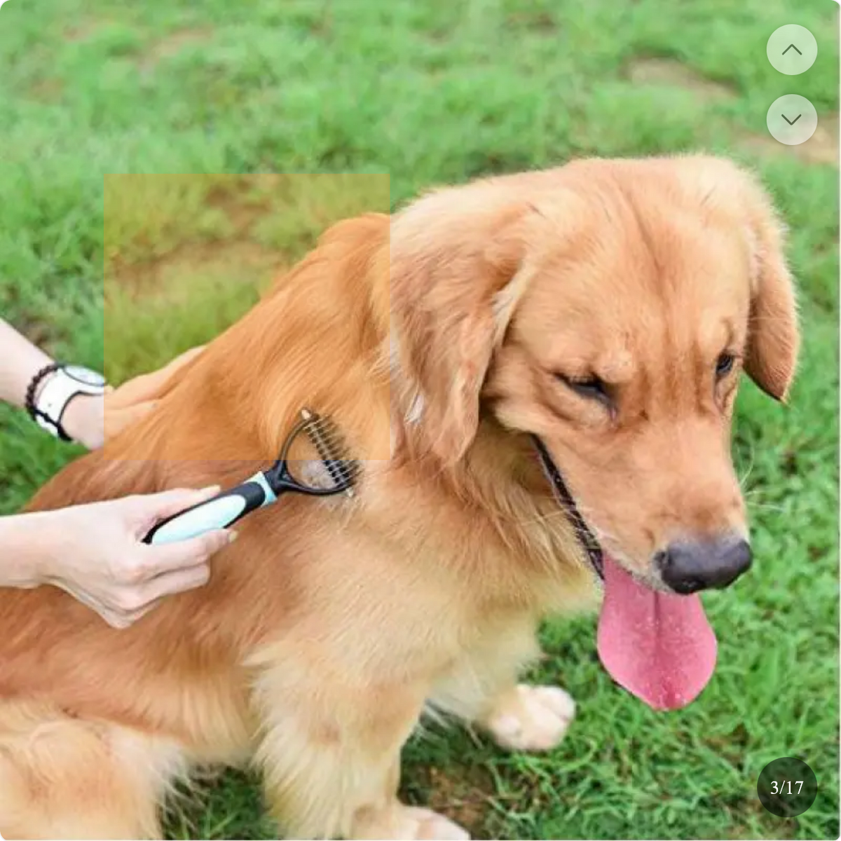 Brosse démêlante autonettoyante pour animaux