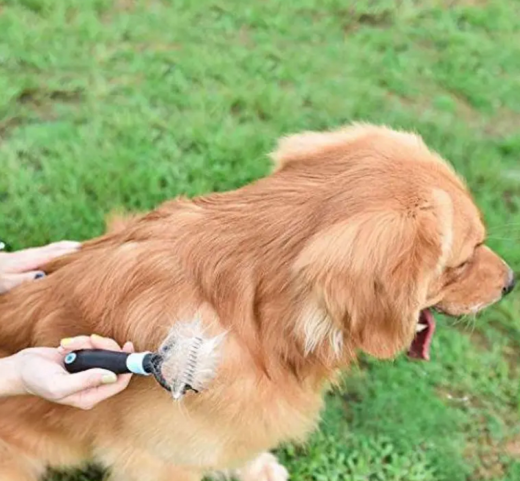 Brosse démêlante autonettoyante pour animaux